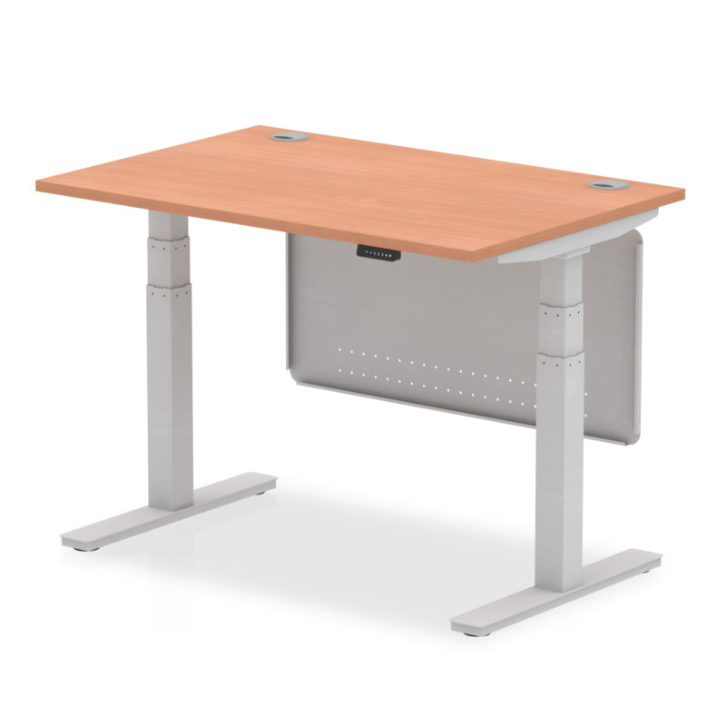 Brisk Height Adjustable Desk With Cable Ports With Steel Modesty Panel - Image 2