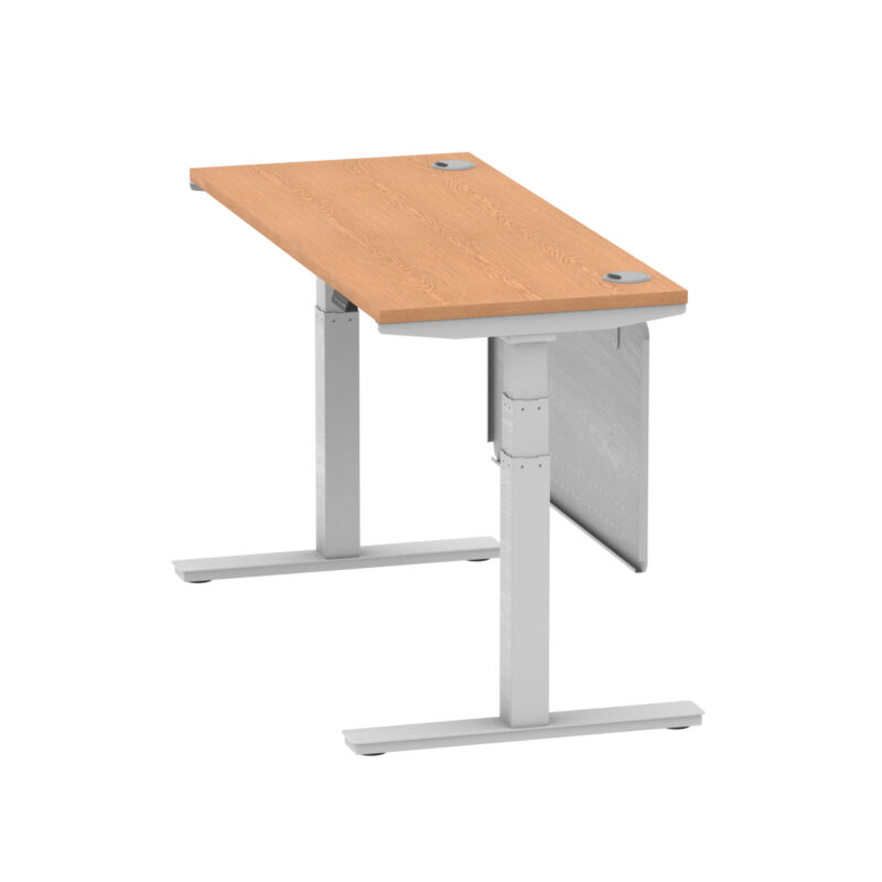 Brisk Height Adjustable Slimline Desk With Cable Ports With Steel Modesty Panel - Image 124