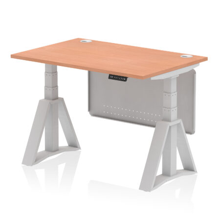 Brisk Height Adjustable Desk With Cable Ports With Steel Modesty Panel With Piste Foot