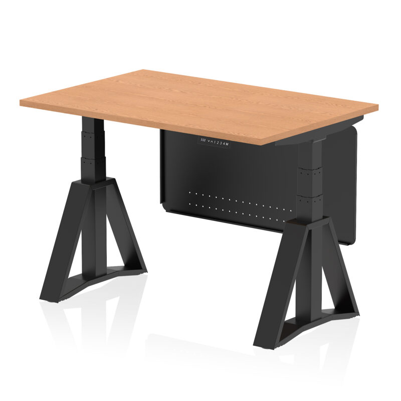 Brisk Height Adjustable Desk without Cable Ports With Steel Modesty Panel With Piste Foot - Image 65