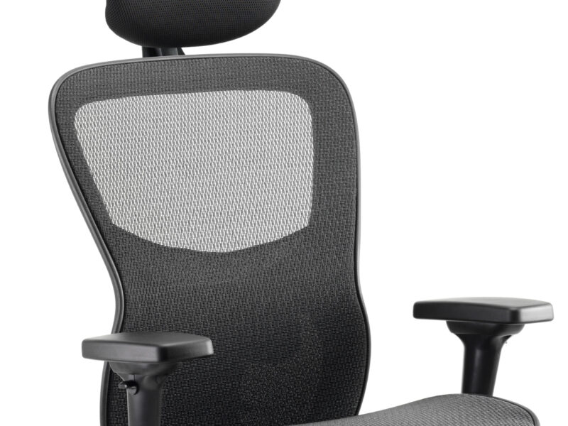 Boltin Shadow High Mesh Back Ergonomic Posture Chair with Arms - Image 14