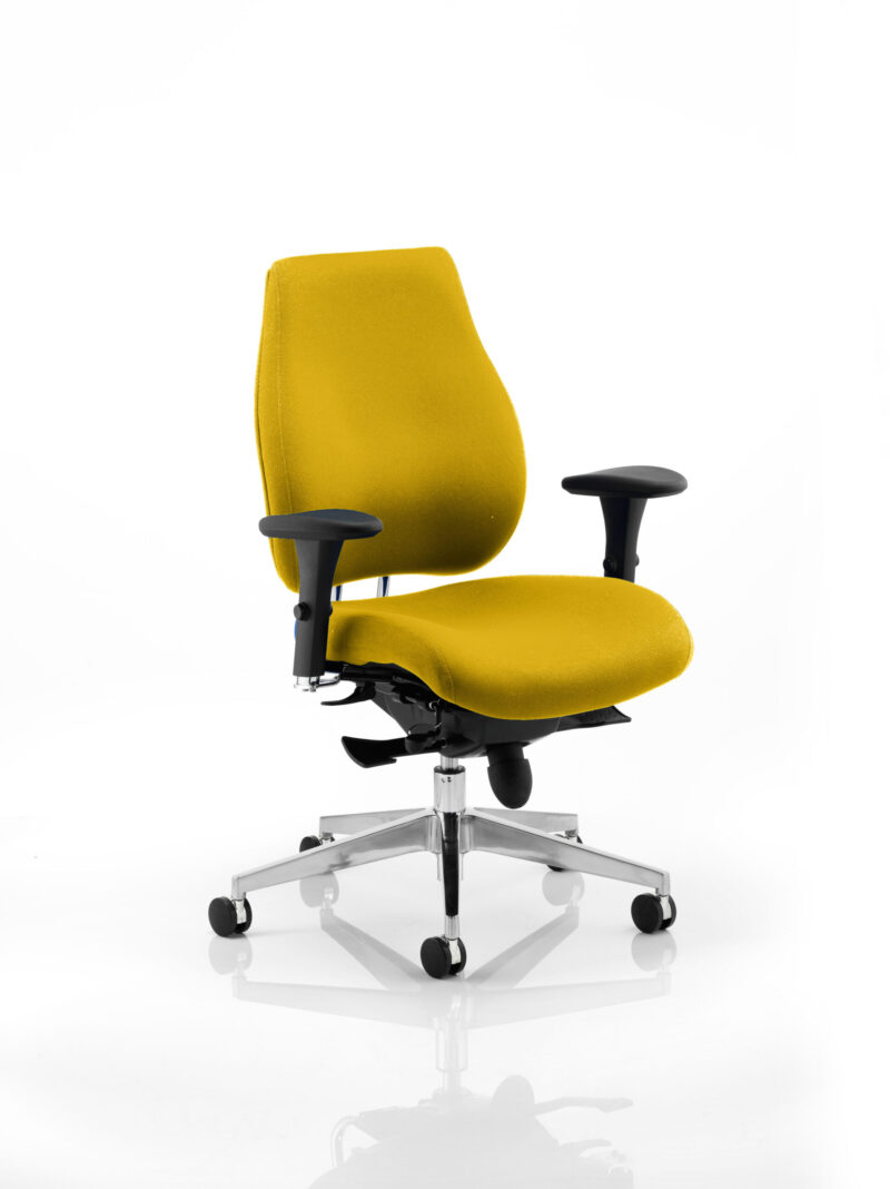 Shuro Plus High Back Ergonomic Posture Chair with Arms - Image 25