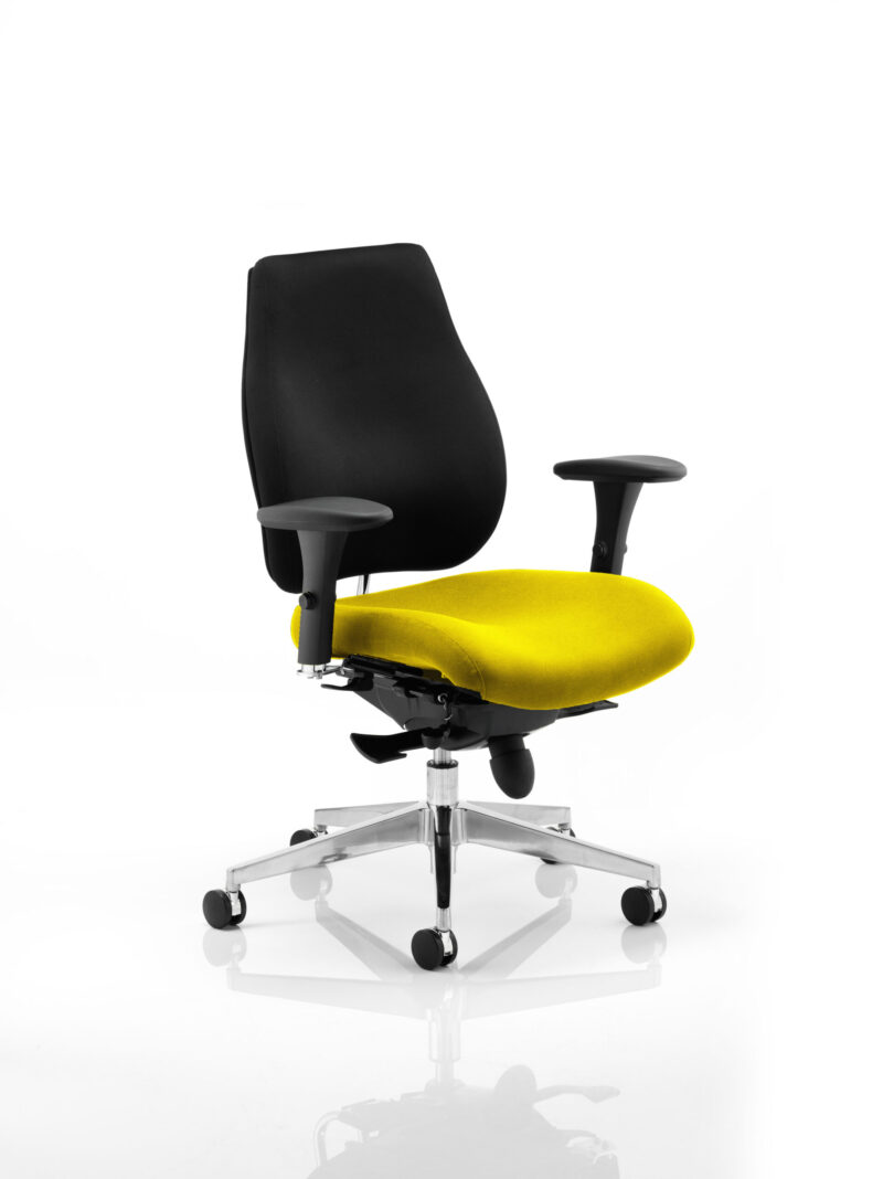 Shuro Plus High Back Ergonomic Posture Chair with Arms - Image 26