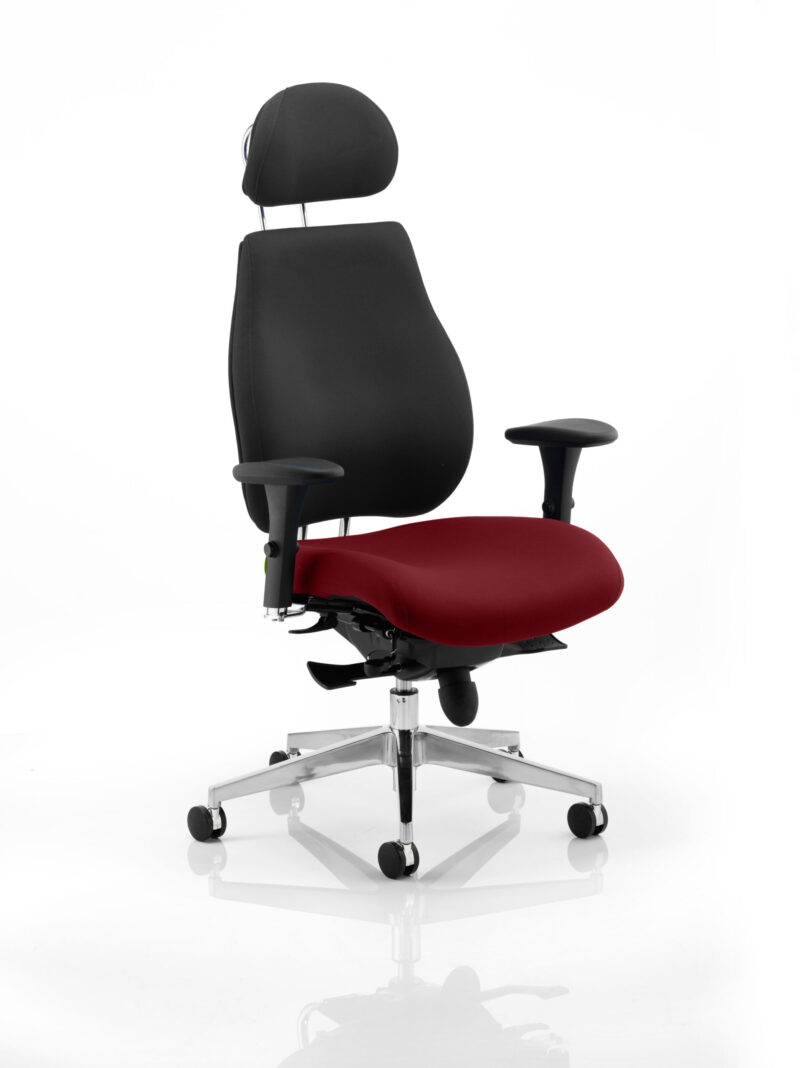 Shuro Plus Ultimate High Back Ergonomic Posture Chair with Arms and Headrest - Image 22