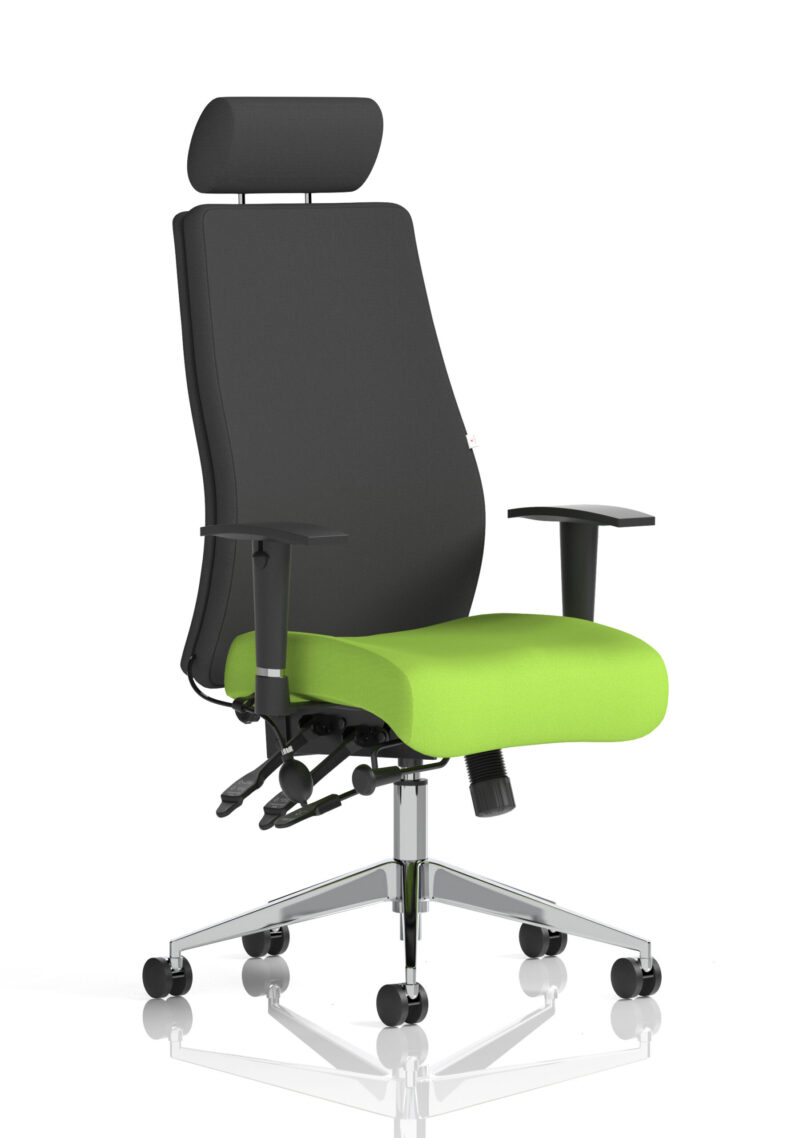 Crate High Back Ergonomic Posture Chair with Height Adjustable Arms - Image 38