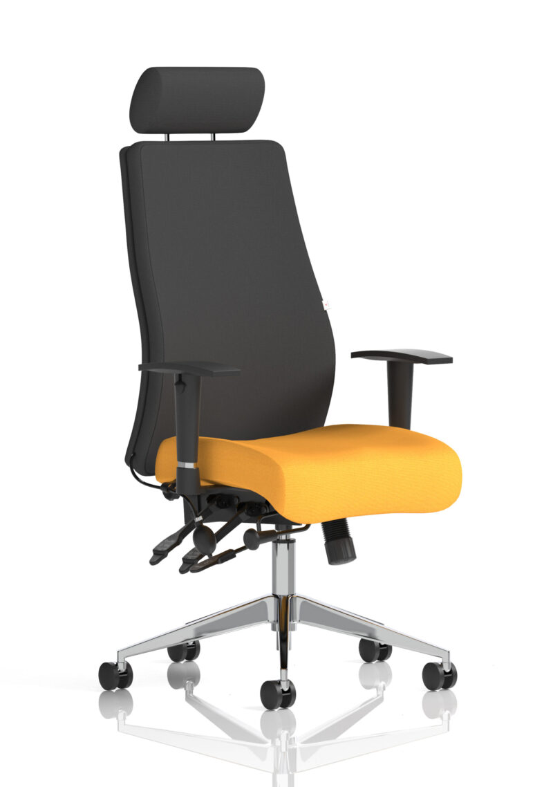 Crate High Back Ergonomic Posture Chair with Height Adjustable Arms - Image 50