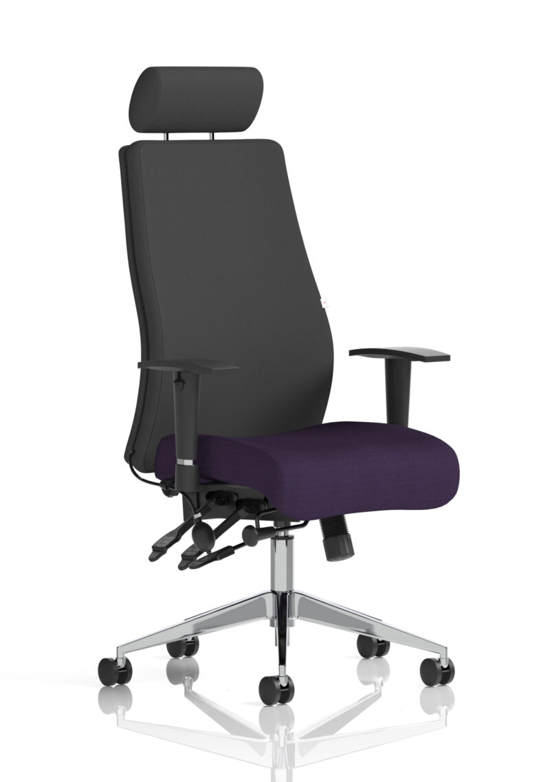 Crate High Back Ergonomic Posture Chair with Height Adjustable Arms - Image 62