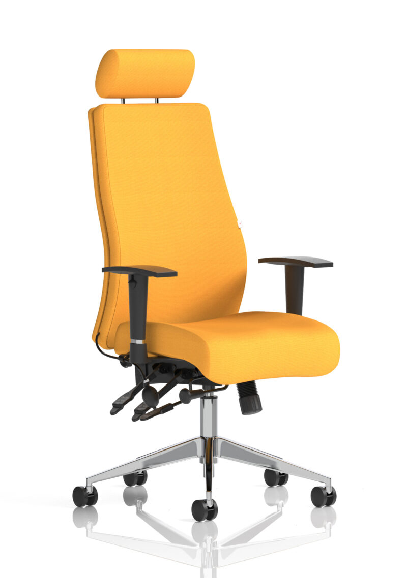 Crate High Back Ergonomic Posture Chair with Height Adjustable Arms - Image 52