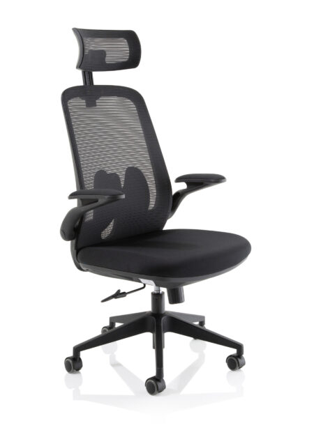 Ridge Executive Mesh Chair With Folding Arms