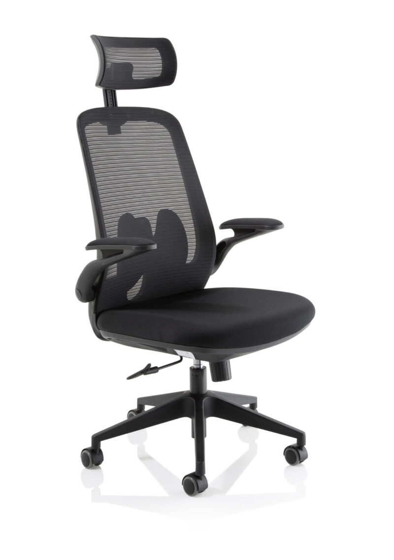 Ridge Executive Mesh Chair With Folding Arms
