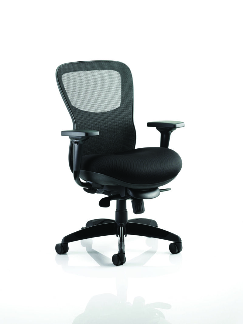 Boltin Shadow High Mesh Back Ergonomic Posture Chair with Arms - Image 17