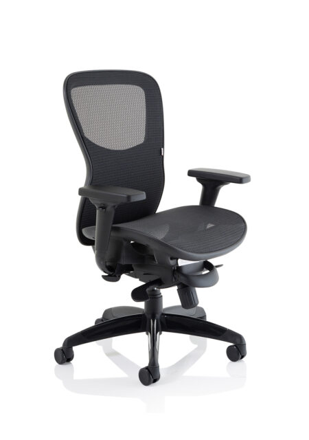 Boltin Shadow High Mesh Back Ergonomic Posture Chair with Arms