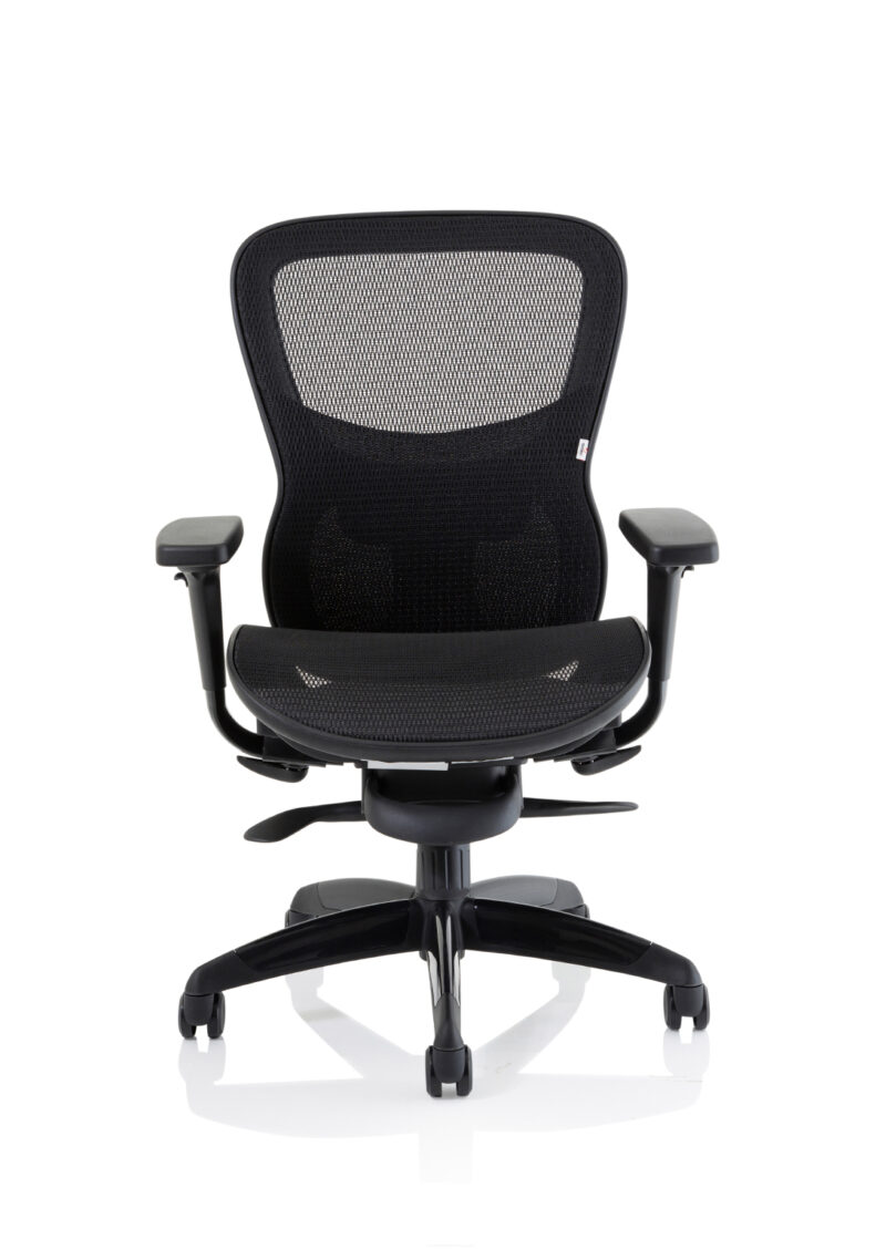 Boltin Shadow High Mesh Back Ergonomic Posture Chair with Arms - Image 2