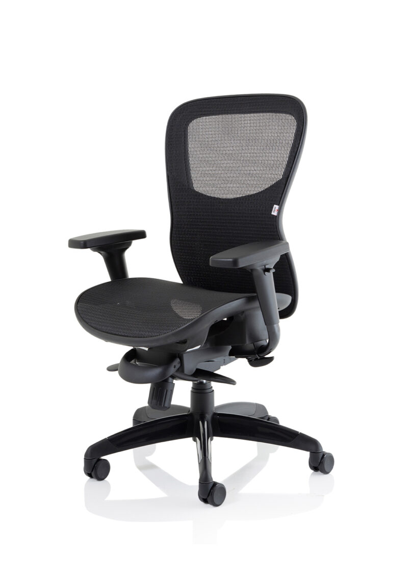 Boltin Shadow High Mesh Back Ergonomic Posture Chair with Arms - Image 3