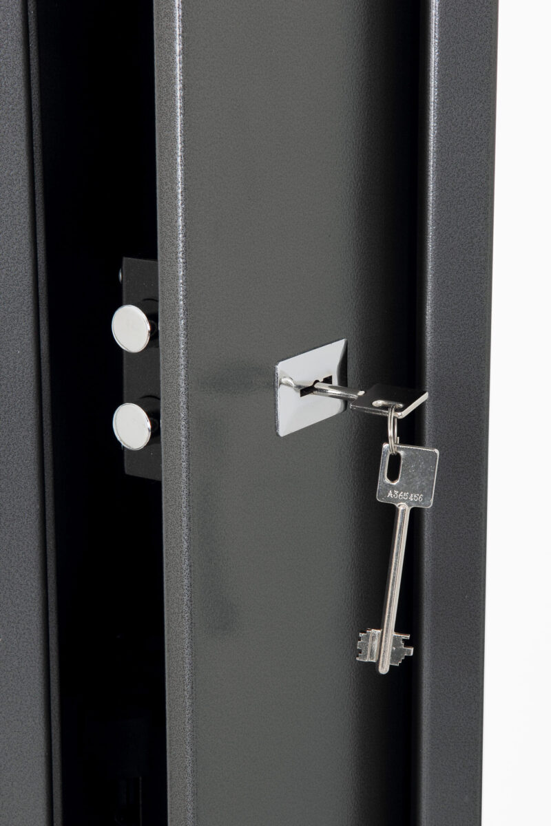 Span Lacerta Gun Safe - Image 5